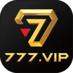 777VIP.img