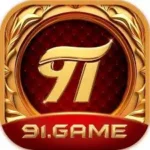 91.img