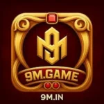 9M.img