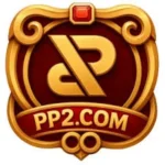 PP2.img