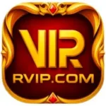 RVIP.img